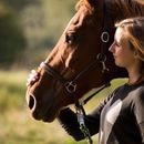 Lesbian horse lover wants to meet same in Sarasota / Bradenton